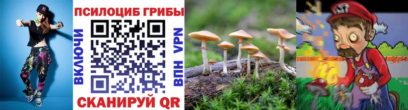Галлюциногенные грибы Magic Shrooms  Купить где  Бердск 